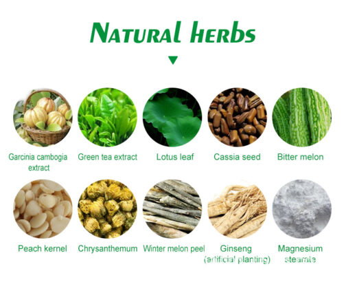Weight Control/Loss Herbal Pill - Image 4