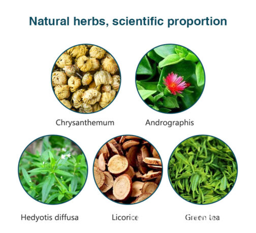 Hemorrhoid Herbal Tea - Image 5